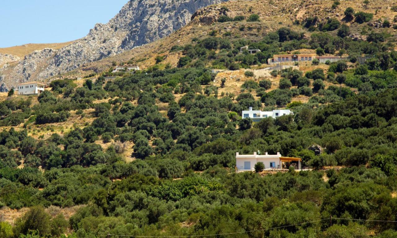 Almond Cottage With A Sea View Above Plakias Exteriér fotografie