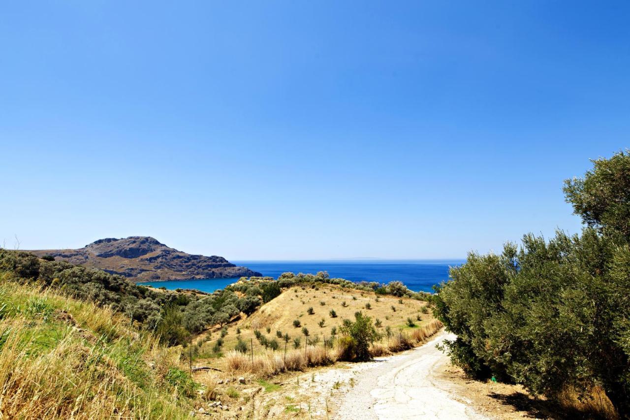Almond Cottage With A Sea View Above Plakias Exteriér fotografie
